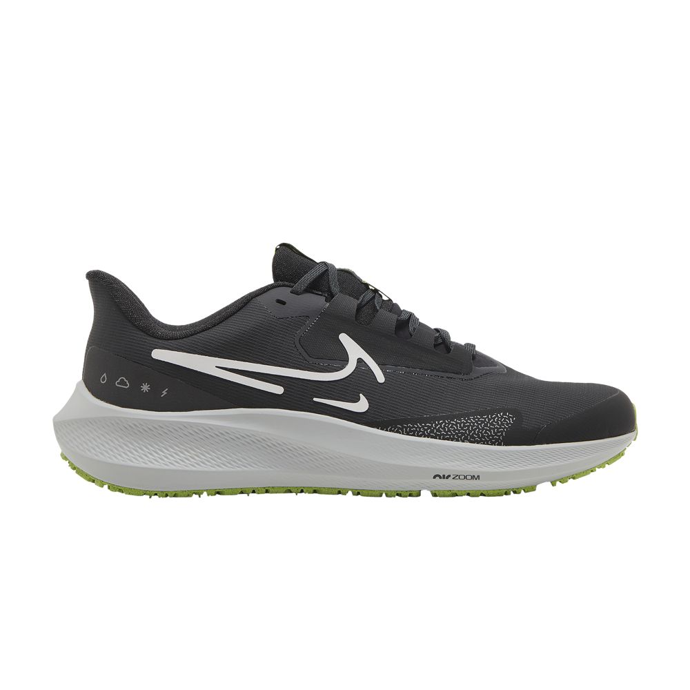 Air Zoom Pegasus 39 Shield